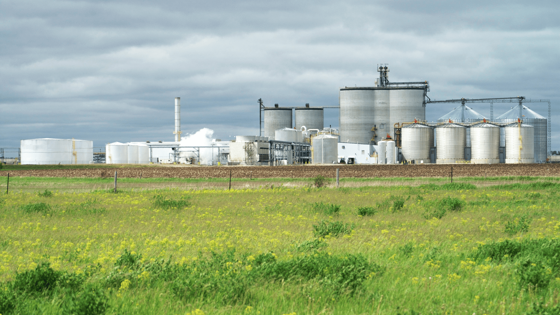 ethanol production